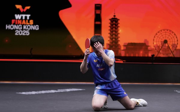 WTT总决赛｜樊振东铁粉！张本智和四入决赛终夺冠，值得四次师法庆祝作为